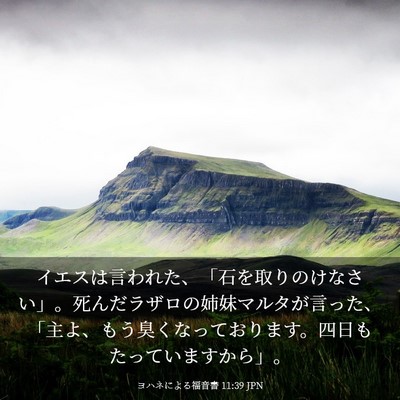 Picture 03 - ヨハネによる福音書 11:39 JPN - イエスは言われた、「石を取りのけ - Bible Verse Picture