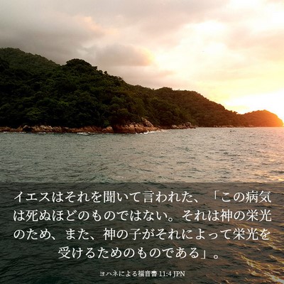Picture 03 - ヨハネによる福音書 11:4 JPN - イエスはそれを聞いて言われた、「 - Bible Verse Picture