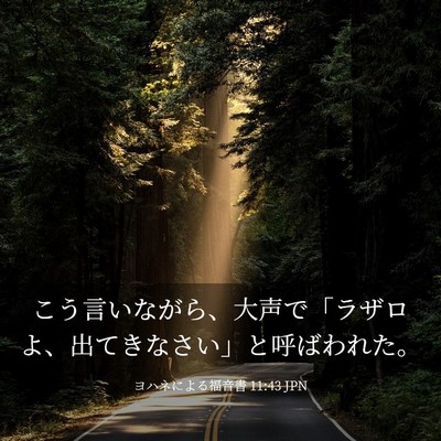 Picture 03 - ヨハネによる福音書 11:43 JPN - こう言いながら、大声で「ラザロよ - Bible Verse Picture
