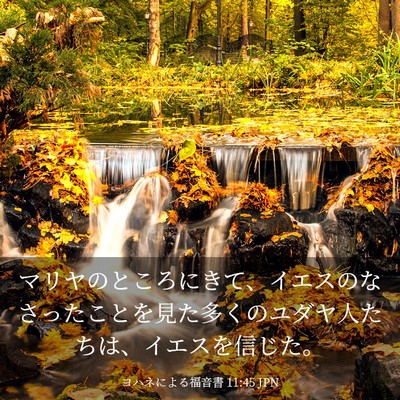 Picture 03 - ヨハネによる福音書 11:45 JPN - マリヤのところにきて、イエスのな - Bible Verse Picture