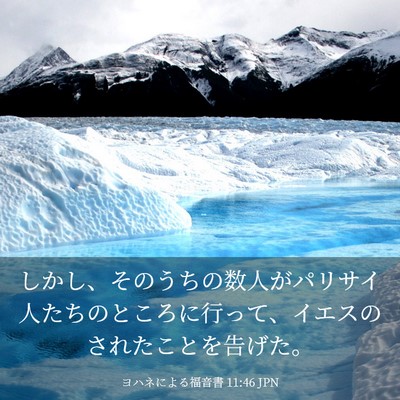 Picture 03 - ヨハネによる福音書 11:46 JPN - しかし、そのうちの数人がパリサイ - Bible Verse Picture