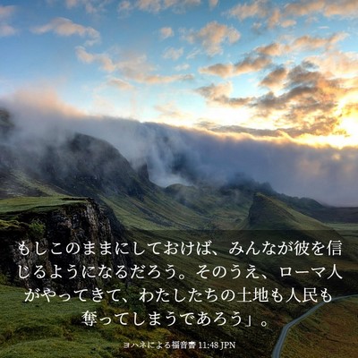 Picture 03 - ヨハネによる福音書 11:48 JPN - もしこのままにしておけば、みんな - Bible Verse Picture