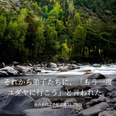 Picture 03 - ヨハネによる福音書 11:7 JPN - それから弟子たちに、「もう一度ユ - Bible Verse Picture