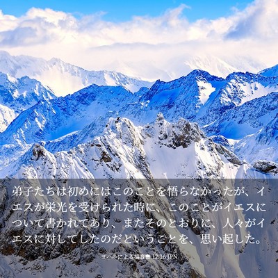 Picture 03 - ヨハネによる福音書 12:16 JPN - 弟子たちは初めにはこのことを悟ら - Bible Verse Picture