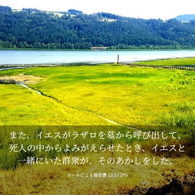 Picture 03 - ヨハネによる福音書 12:17 JPN - また、イエスがラザロを墓から呼び - Bible Verse Picture