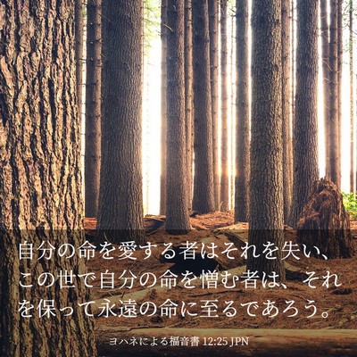 Picture 03 - ヨハネによる福音書 12:25 JPN - 自分の命を愛する者はそれを失い、 - Bible Verse Picture
