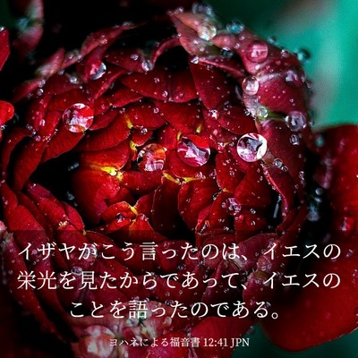 Picture 03 - ヨハネによる福音書 12:41 JPN - イザヤがこう言ったのは、イエスの - Bible Verse Picture