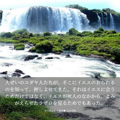 Picture 03 - ヨハネによる福音書 12:9 JPN - 大ぜいのユダヤ人たちが、そこにイ - Bible Verse Picture