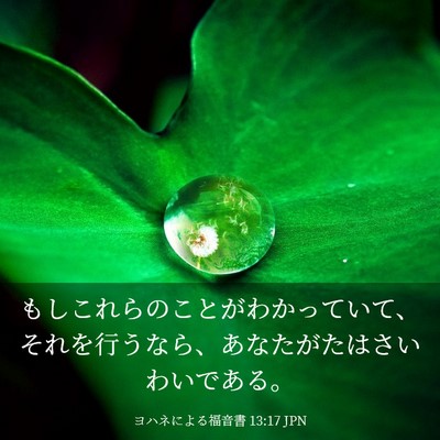 Picture 03 - ヨハネによる福音書 13:17 JPN - もしこれらのことがわかっていて、 - Bible Verse Picture
