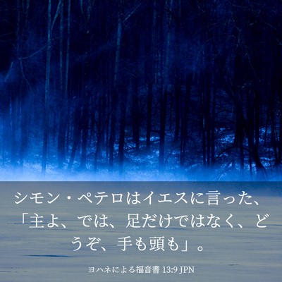 Picture 03 - ヨハネによる福音書 13:9 JPN - シモン・ペテロはイエスに言った、 - Bible Verse Picture