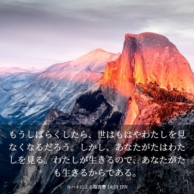 Picture 03 - ヨハネによる福音書 14:19 JPN - もうしばらくしたら、世はもはやわ - Bible Verse Picture