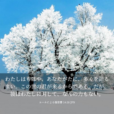 Picture 03 - ヨハネによる福音書 14:30 JPN - わたしはもはや、あなたがたに、多 - Bible Verse Picture