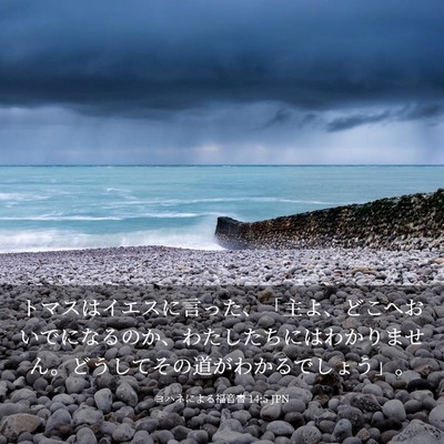 Picture 03 - ヨハネによる福音書 14:5 JPN - トマスはイエスに言った、「主よ、 - Bible Verse Picture