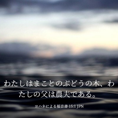 Picture 03 - ヨハネによる福音書 15:1 JPN - わたしはまことのぶどうの木、わた - Bible Verse Picture