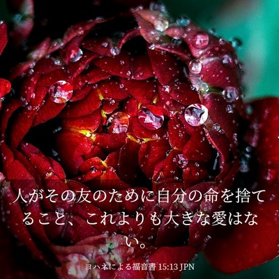 Picture 03 - ヨハネによる福音書 15:13 JPN - 人がその友のために自分の命を捨て - Bible Verse Picture