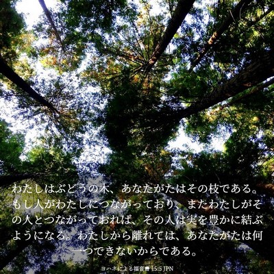 Picture 03 - ヨハネによる福音書 15:5 JPN - わたしはぶどうの木、あなたがたは - Bible Verse Picture