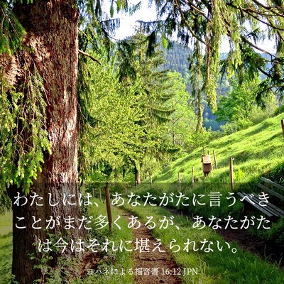 Picture 03 - ヨハネによる福音書 16:12 JPN - わたしには、あなたがたに言うべき - Bible Verse Picture