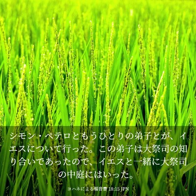 Picture 03 - ヨハネによる福音書 18:15 JPN - シモン・ペテロともうひとりの弟子 - Bible Verse Picture