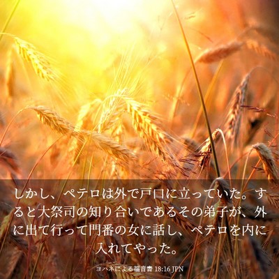 Picture 03 - ヨハネによる福音書 18:16 JPN - しかし、ペテロは外で戸口に立って - Bible Verse Picture