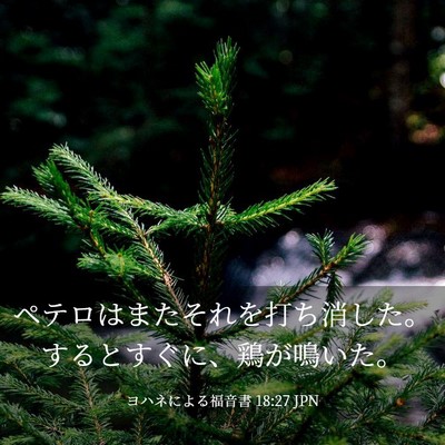 Picture 03 - ヨハネによる福音書 18:27 JPN - ペテロはまたそれを打ち消した。す - Bible Verse Picture