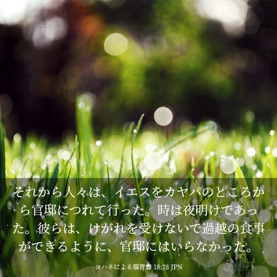 Picture 03 - ヨハネによる福音書 18:28 JPN - それから人々は、イエスをカヤパの - Bible Verse Picture