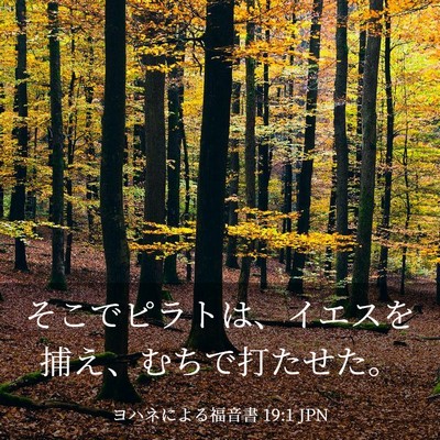 Picture 03 - ヨハネによる福音書 19:1 JPN - そこでピラトは、イエスを捕え、む - Bible Verse Picture