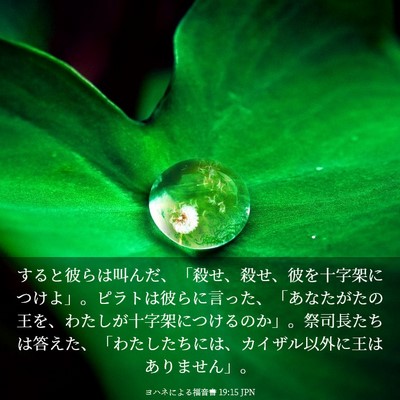 Picture 03 - ヨハネによる福音書 19:15 JPN - すると彼らは叫んだ、「殺せ、殺せ - Bible Verse Picture