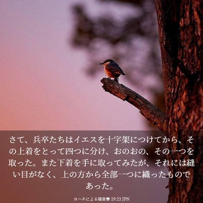 Picture 03 - ヨハネによる福音書 19:23 JPN - さて、兵卒たちはイエスを十字架に - Bible Verse Picture