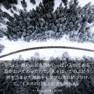 Picture 03 - ヨハネによる福音書 19:29 JPN - そこに、酢いぶどう酒がいっぱい入 - Bible Verse Picture
