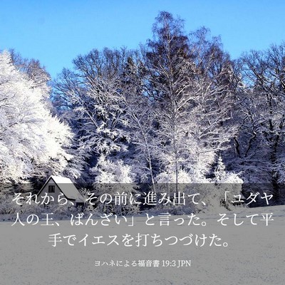 Picture 03 - ヨハネによる福音書 19:3 JPN - それから、その前に進み出て、「ユ - Bible Verse Picture