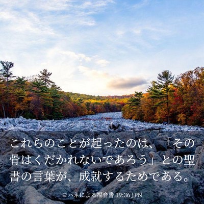 Picture 03 - ヨハネによる福音書 19:36 JPN - これらのことが起ったのは、「その - Bible Verse Picture