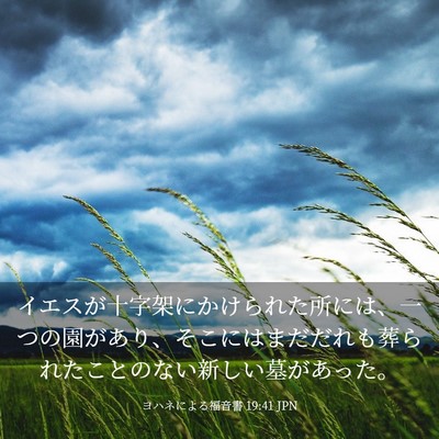 Picture 03 - ヨハネによる福音書 19:41 JPN - イエスが十字架にかけられた所には - Bible Verse Picture