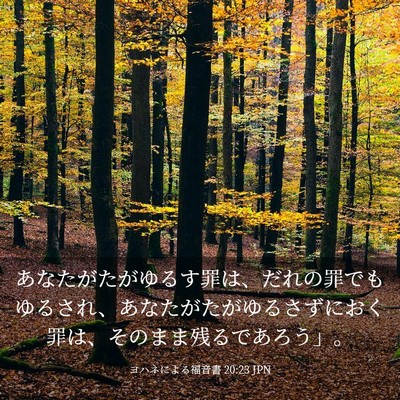 Picture 03 - ヨハネによる福音書 20:23 JPN - あなたがたがゆるす罪は、だれの罪 - Bible Verse Picture