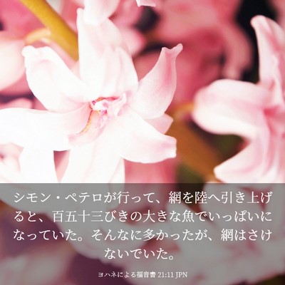 Picture 03 - ヨハネによる福音書 21:11 JPN - シモン・ペテロが行って、網を陸へ - Bible Verse Picture