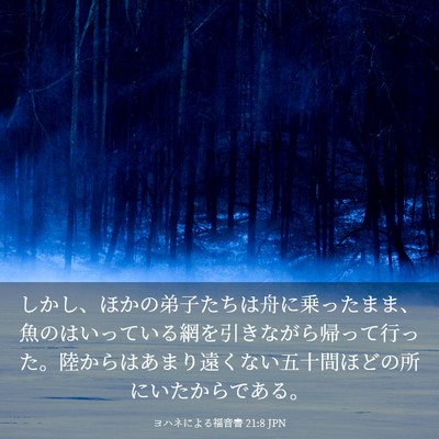 Picture 03 - ヨハネによる福音書 21:8 JPN - しかし、ほかの弟子たちは舟に乗っ - Bible Verse Picture