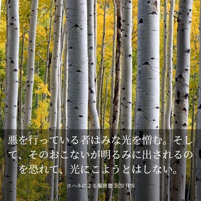 Picture 03 - ヨハネによる福音書 3:20 JPN - 悪を行っている者はみな光を憎む。 - Bible Verse Picture