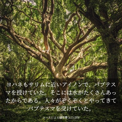 Picture 03 - ヨハネによる福音書 3:23 JPN - ヨハネもサリムに近いアイノンで、 - Bible Verse Picture