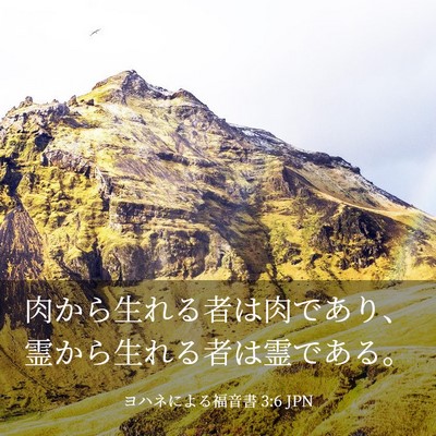Picture 03 - ヨハネによる福音書 3:6 JPN - 肉から生れる者は肉であり、霊から - Bible Verse Picture