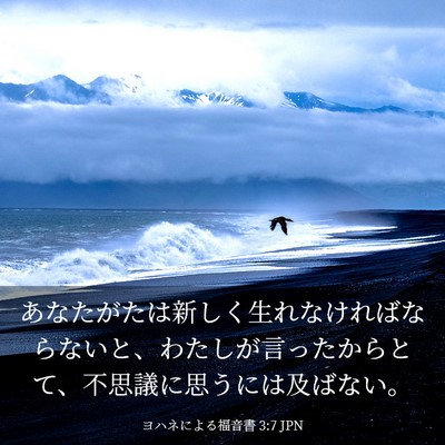 Picture 03 - ヨハネによる福音書 3:7 JPN - あなたがたは新しく生れなければな - Bible Verse Picture