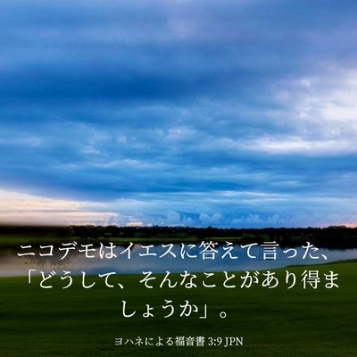 Picture 03 - ヨハネによる福音書 3:9 JPN - ニコデモはイエスに答えて言った、 - Bible Verse Picture