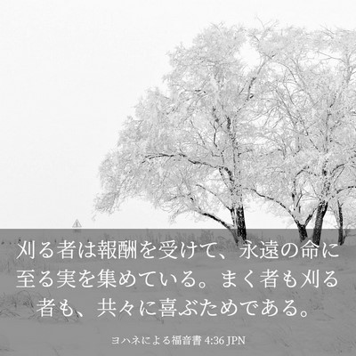 Picture 03 - ヨハネによる福音書 4:36 JPN - 刈る者は報酬を受けて、永遠の命に - Bible Verse Picture