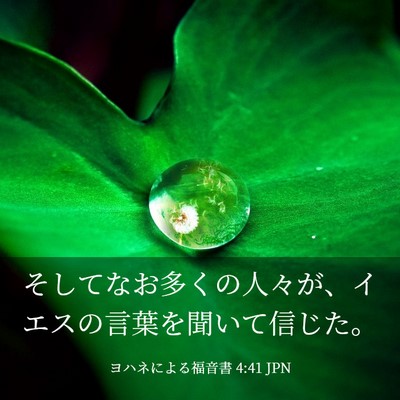 Picture 03 - ヨハネによる福音書 4:41 JPN - そしてなお多くの人々が、イエスの - Bible Verse Picture
