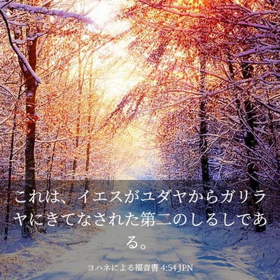 Picture 03 - ヨハネによる福音書 4:54 JPN - これは、イエスがユダヤからガリラ - Bible Verse Picture
