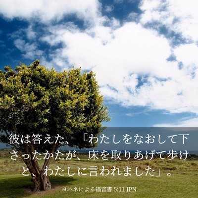 Picture 03 - ヨハネによる福音書 5:11 JPN - 彼は答えた、「わたしをなおして下 - Bible Verse Picture