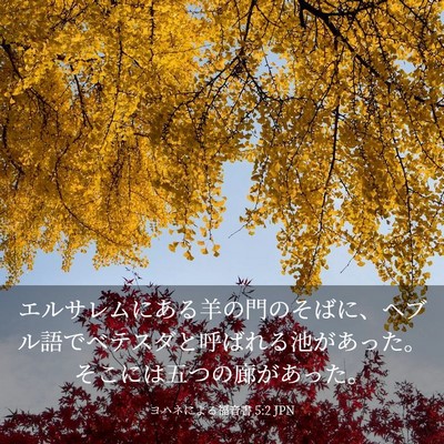 Picture 03 - ヨハネによる福音書 5:2 JPN - エルサレムにある羊の門のそばに、 - Bible Verse Picture