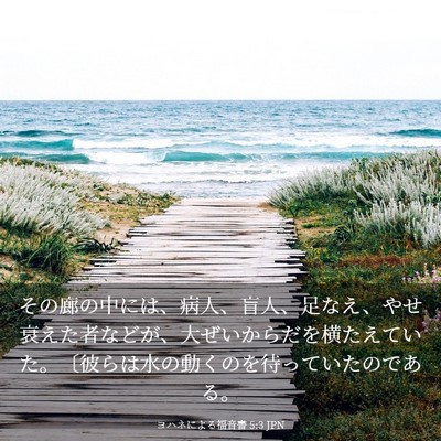 Picture 03 - ヨハネによる福音書 5:3 JPN - その廊の中には、病人、盲人、足な - Bible Verse Picture