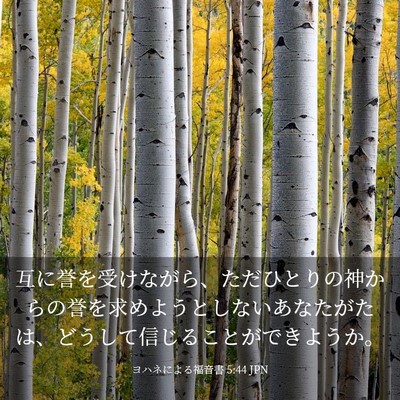 Picture 03 - ヨハネによる福音書 5:44 JPN - 互に誉を受けながら、ただひとりの - Bible Verse Picture