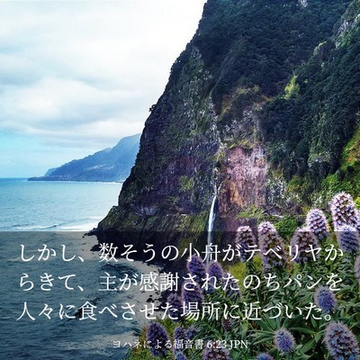 Picture 03 - ヨハネによる福音書 6:23 JPN - しかし、数そうの小舟がテベリヤか - Bible Verse Picture