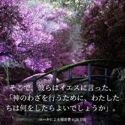 Picture 03 - ヨハネによる福音書 6:28 JPN - そこで、彼らはイエスに言った、「 - Bible Verse Picture