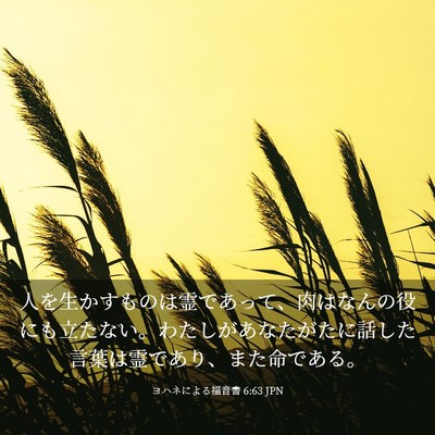 Picture 03 - ヨハネによる福音書 6:63 JPN - 人を生かすものは霊であって、肉は - Bible Verse Picture